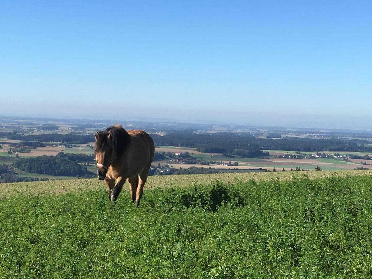 Hochhubergut Alloggio per agriturismo *