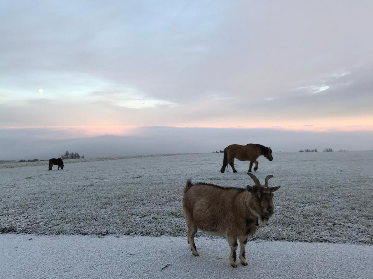 Hochhubergut Alloggio per agriturismo Aschach an der Steyr